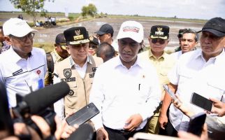 Pj Gubernur Sumsel Bersama Mentan Amran Tinjau Upsus Optimalisasi Lahan Rawa di Banyuasin - JPNN.com