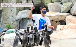 Taman Safari Bogor Beri Tiket Promo Ramadan Sale, Buruan yang Mau Liburan! - JPNN.com
