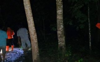Dedi Saputra Hilang di Hutan Sagu Kendari - JPNN.com