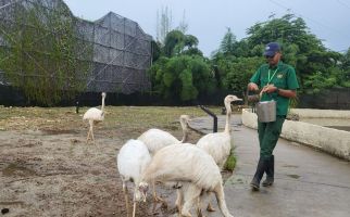 Aviary Park Hadirkan Pengalaman Konservasi Unik di Tengah Kota - JPNN.com