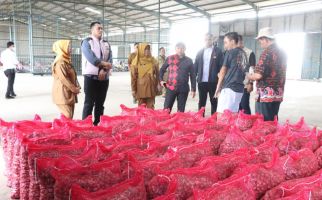 Bawang Merah di Brebes Gagal Panen, Satgas Pangan Polri Lakukan Pendekatan Ini - JPNN.com