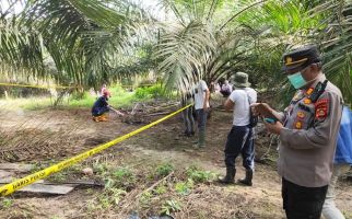 Penemuan Kerangka Manusia di Kebun Sawit Musi Banyuasin Hebohkan Warga - JPNN.com