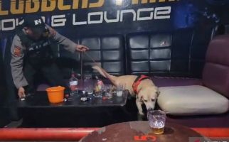Anjing Pelacak Dikerahkan untuk Temukan Narkoba di Kelab Malam Jambi - JPNN.com