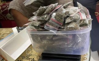 Bea Cukai & Polri Gagalkan Pengiriman Ganja ke Ternate - JPNN.com