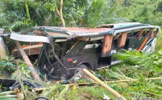 Bus Rombongan Siswa di Pesisir Barat Masuk Jurang di Tanggamus - JPNN.com