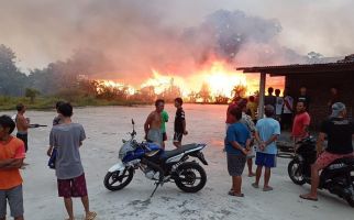 45 Ribu Ayam Terbakar Bersama Kandang, Pemilik Rugi Rp 5 Miliar - JPNN.com