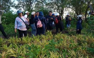 Terapkan Digitalisasi, Ditjen Hortikultura Permudah Pemantauan dan Evaluasi Proyek HDDAP - JPNN.com