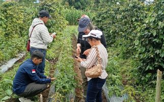 Begini Langkah Ditjen Hortikultura untuk Menyukseskan Program HDDAP di Pakpak Bharat - JPNN.com