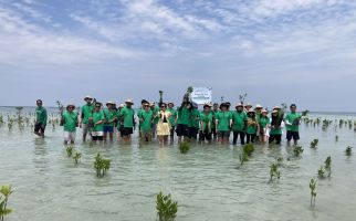 Beri Kontribusi di Hari Lingkungan Hidup, Hikvision Ikut Tanam Ribuan Bibit Mangrove - JPNN.com