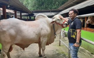 Jokowi Beli Sapi Milik Polisi di Bantul, Harganya Wow - JPNN.com