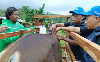 Jaga Kualitas Hewan Kurban, Human Initiative Berangkatkan Tim QC ke Pelosok Indonesia - JPNN.com