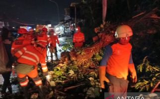 Pengendara Motor Tewas Tertimpa Pohon Tumbang di Bogor - JPNN.com