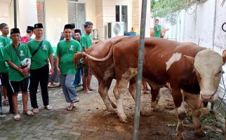 IdulAdha 2024, BKI Bagikan Daging Kurban Kepada Masyarakat Sekitar - JPNN.com