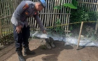 Warga Temukan Granat di Garut, Pin Pengaman Ditarik, Duaarrr, 4 Orang Terluka - JPNN.com