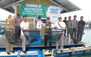 Baznas Bazis DKI Panen Ikan Kerapu Centang di Pulau Tidung, Sebegini Jumlahnya - JPNN.com