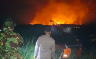 10 Hektare Lahan Terbakar di Ogan Hilir, Begini Kondisinya - JPNN.com