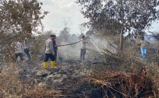 Personel Polres Inhu Berjibaku Padamkan Karhutla Seluas 311 Hektare di Sungai Guntung - JPNN.com
