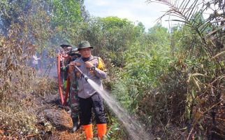 Polres Rohil Bergerak Tangkap Dua Pembakar Lahan - JPNN.com