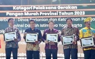 Pj Gubernur Sumsel Elen Setiadi Terima Penghargaan Bapanas Awards dari Badan Pangan Nasional - JPNN.com