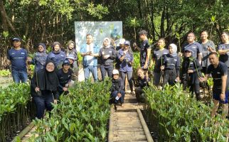 Tekan Risiko Bencana, PNM Tanam 50 Ribu Bibit Mangrove di 14 Kota - JPNN.com