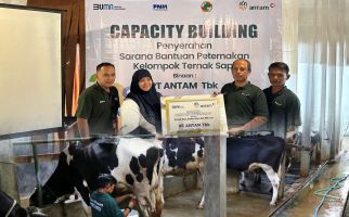 Sinergi PNM dan ANTAM Dorong Peternak Sapi Lokal Tingkatkan Kualitas dan Suplai Susu - JPNN.com