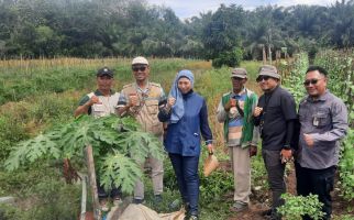 Tak Kenal Waktu Libur, Kepala BPPSDMP Temukan Solusi Perluasan Areal Tanam di Barito Kuala - JPNN.com