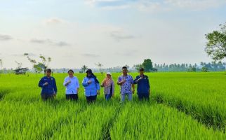 Tingkatkan Produksi Padi, Kementan Berikan 153 Pompa Air ke Kabupaten Bengkulu Selatan - JPNN.com