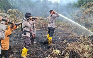 Tim Gabungan Masih Berjibaku Memadamkan Karhutla di Pulau Galang Inhu - JPNN.com