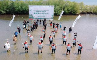 PTK Tanam 5.500 Bibit Mangrove & Resmikan Rumah Pembibitan di Bali untuk Lindungi Lingkungan Pesisir - JPNN.com