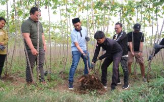 TKN Fanta Adakan Panen Raya Singkong Bersama Petani Pelajar - JPNN.com