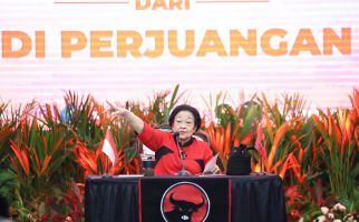 Megawati Minta Airin Bicara yang Keras Kalau Sudah Masuk PDIP - JPNN.com