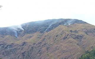 Kawasan Bukit Anak Dara di Kaki Gunung Rinjani Lombok Timur Terbakar - JPNN.com