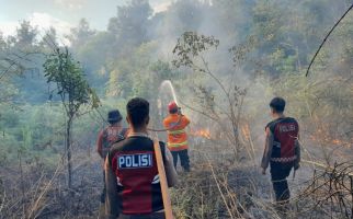 BMKG Infokan Potensi Karhutla di Kaltim, Irwan Fecho: Jika Perlu Lakukan Modifikasi Cuaca - JPNN.com