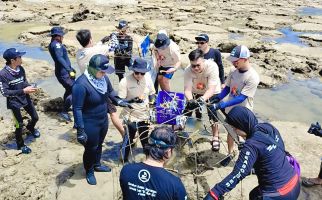 Dorong Kesejahteraan di Pesisir, PNM Peduli Tanam Ribuan Mangrove dan Terumbu Karang - JPNN.com