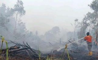 Luas Lahan yang Terbakar di Sungai Rotan Muara Enim Mencapai 53 Hektare - JPNN.com