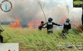 Setelah 2 Hari, Kebakaran di Taman Nasional Way Kambas Akhirnya Padam - JPNN.com