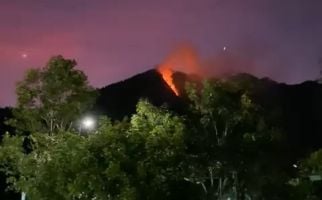 BPBD Jateng Ungkap Penyebab Gunung Telomoyo Terbakar, Ternyata - JPNN.com