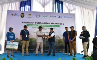 Realisasikan TJSL, Pelindo Gelar Kick Off Rehabilitasi Mangrove 2024 - JPNN.com