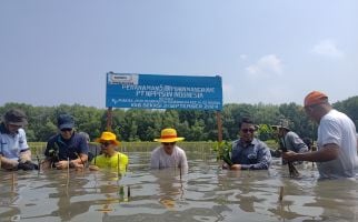 Tunjukkan Kepedulian Lingkungan, PT Nippisun Tanam 5 Ribu Pohon Mangrove di Bekasi - JPNN.com