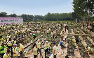 Penanaman 5.000 Pohon Bakau untuk Mengembalikan Kawasan Pesisir yang Asri - JPNN.com