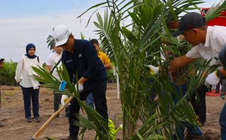 PTPN IV PalmCo Targetkan 2,1 Juta Bibit Unggul Diserap Petani Sawit - JPNN.com