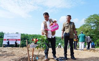 Lakukan Penanaman Pohon di Buffer Zone Tambang, Akmal Malik: Bentuk Sedekah untuk Alam - JPNN.com