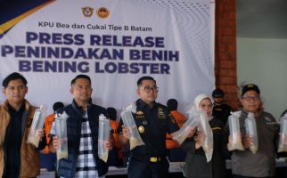 Bea Cukai Gagalkan Penyelundupan Ratusan Ribu Benih Lobster Tujuan Malaysia - JPNN.com