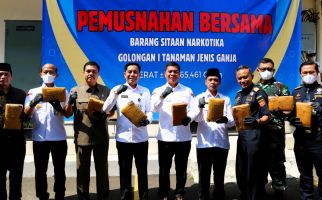 Bea Cukai dan BNNP Musnahkan Barang Bukti Ganja Hasil Penindakan di Cilegon - JPNN.com