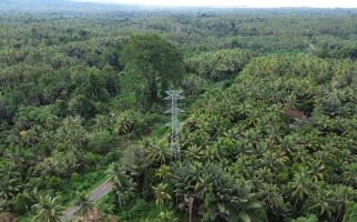 PLN UIP MPA Bangun 577 Tower Transmisi 150 kV, Tambah Pasokan Listrik di Halmahera - JPNN.com