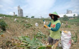 Lewat Program SGSP, SIG Tingkatkan Kesejahteraan Petani di Rembang - JPNN.com