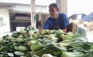 Petani Kecil Mulai Rasakan Efek Gerakan Boikot Restoran Waralaba yang Dianggap Terafiliasi Israel - JPNN.com