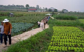 Dukung Ketahanan Pangan, IsDB & IFAD Kembangan Pertanian Dataran Tinggi - JPNN.com