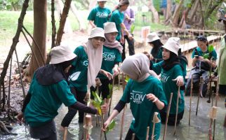 Peringati Hari Pohon Sedunia, MSGLOW Beauty Tanam Mangrove di PIK  - JPNN.com