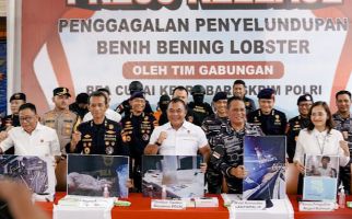 Bareskrim Gagalkan Penyelundupan 151 Ribu Benih Lobster di Bintan - JPNN.com